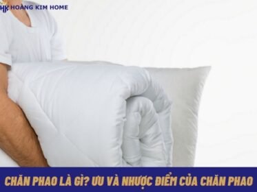 chan-phao-la-gi-uu-va-nhuoc-diem-cua-chan-phao