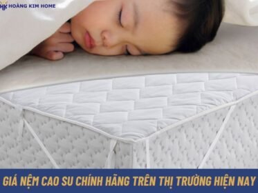 gia-nem-cao-su-chinh-hang-tren-thi-truong-hien-nay