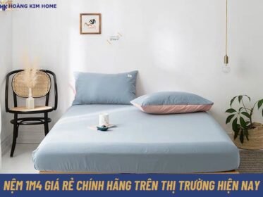nem-1m4-gia-re-chinh-hang-tren-thi-truong-hien-nay