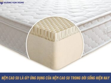nem-cao-su-la-gi-ung-dung-cua-nem-cao-su-trong-doi-song-hien-nay