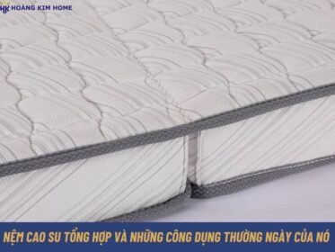 nem-cao-su-tong-hop-va-nhung-cong-dung-thuong-ngay-cua-no