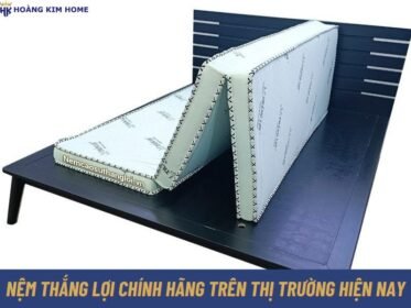 nem-thang-loi-chinh-hang-tren-thi-truong-hien-nay