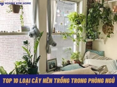 top-10-loai-cay-nen-trong-trong-phong-ngu
