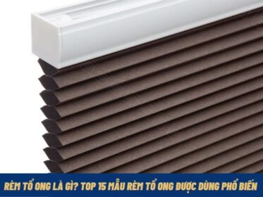 rem-to-ong-la-gi-top-15-mau-rem-to-ong-duoc-dung-pho-bien