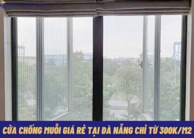 cua-chong-muoi-gia-re