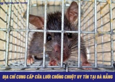 cua-luoi-chong-chuot