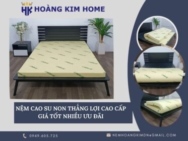 nem-cao-su-thien-nhien-thang-loi