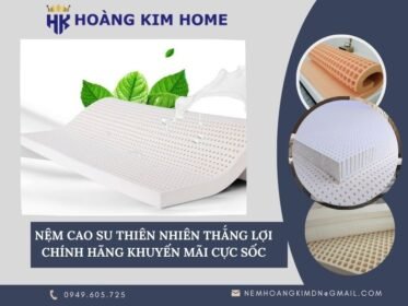 nem-cao-su-thien-nhien-thang-loi